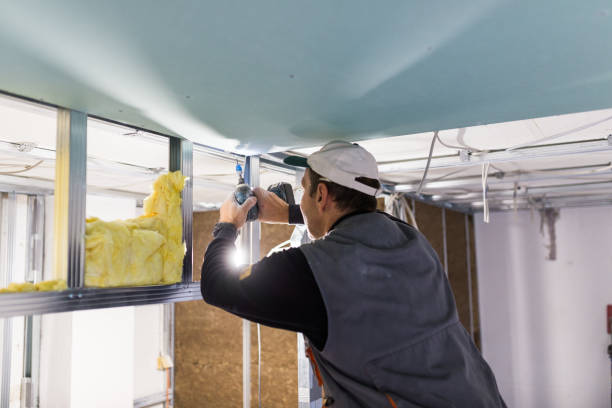 Best Cellulose Insulation  in Goleta, CA