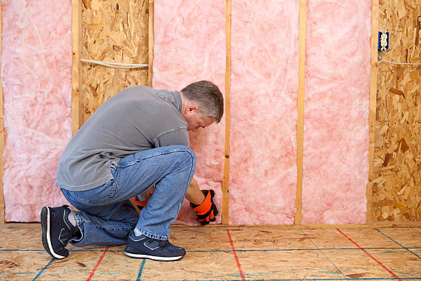 Best Affordable Insulation Services  in Goleta, CA